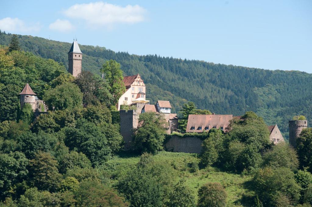 Schlosshotel Хиршхорн Экстерьер фото